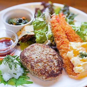 ミニおろしハンバーグスペシャル（エビフライ）